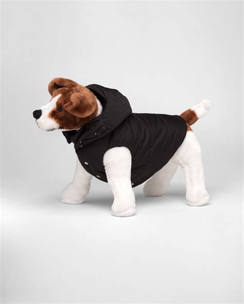 prada hunde jacke|prada dog accessories.